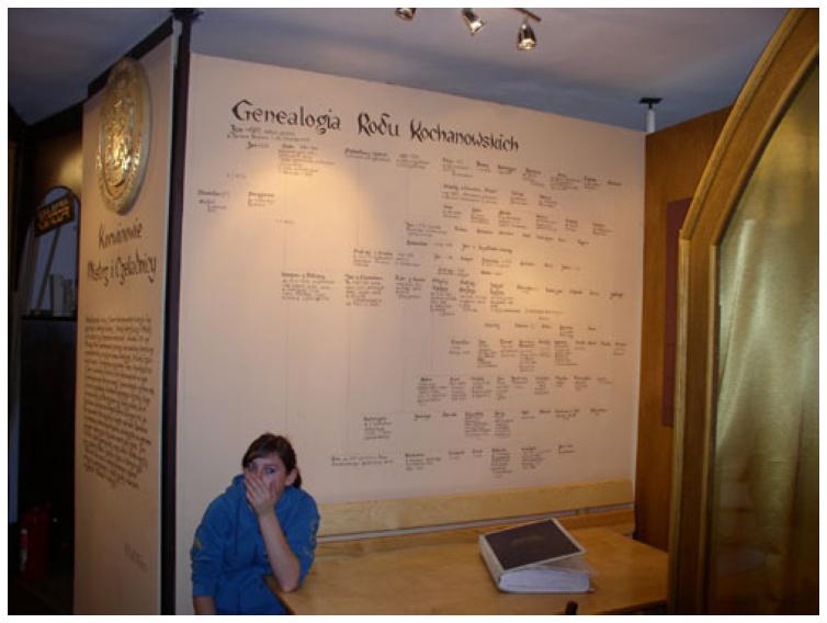 Tablica przedstawiajca drzewo genealogiczne rodu Kochanowksich w Muzeum Regionalnym w Zwoleniu